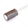 ELNA - Aluminum Electrolytic Capacitors - Leaded 100uF 25V 20% Audio SILMIC II