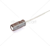 ELNA - Aluminum Electrolytic Capacitors - Leaded 10uF 16V 20% Audio SILMIC II