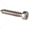 DAC - M3 x 16mm Cap Head Wood Screw Nickel