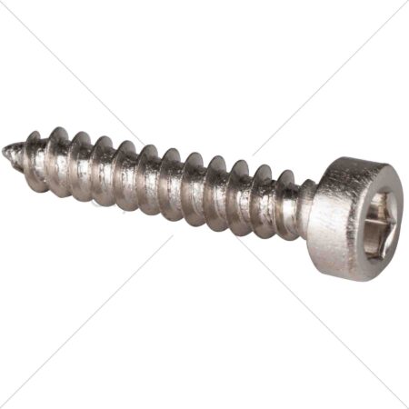 DAC - M3 x 16mm Cap Head Wood Screw Nickel