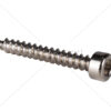 DAC - M3.5 x 25mm Cap Head Wood Screws - Nickel