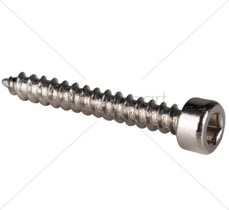 DAC - M3.5 x 25mm Cap Head Wood Screws - Nickel