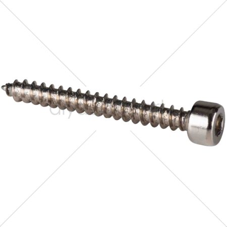 M4 x 35mm Cap Head Wood Screw Nickel