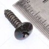 DAC - #8 x 19mm Star Head Self Tapping Screw - Black