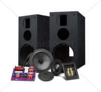 HiVi Bookshelf Speaker DIY Kits DIY3.1-A