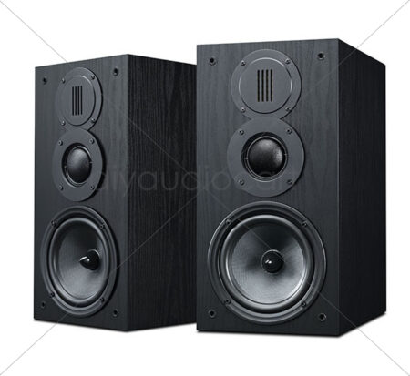 HiVi Bookshelf Speaker DIY Kits DIY3.1-A