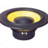 HiVi F10 10" Bass/Midrange